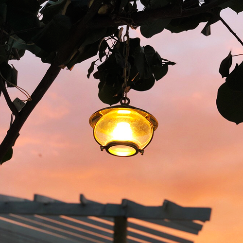 Hanging Garde Light