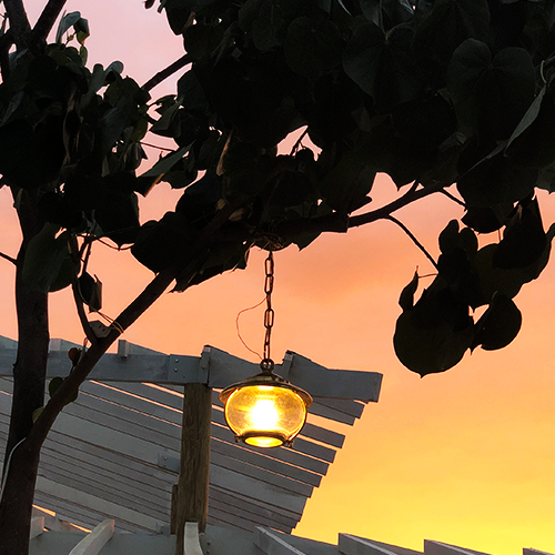 Hanging Garde Light