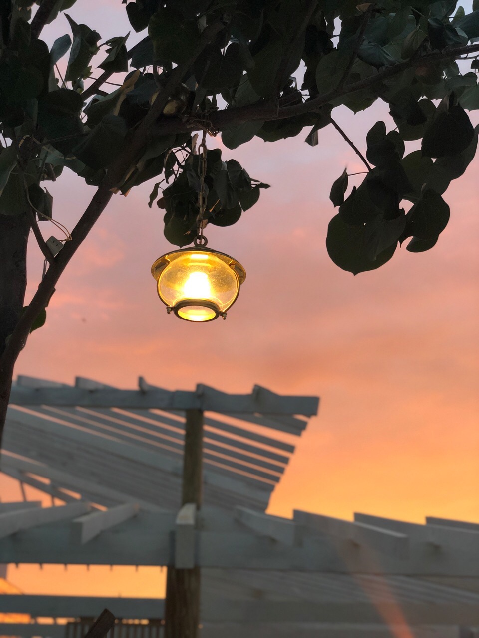 C-5 Hanging Garden Light